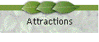 Attractions